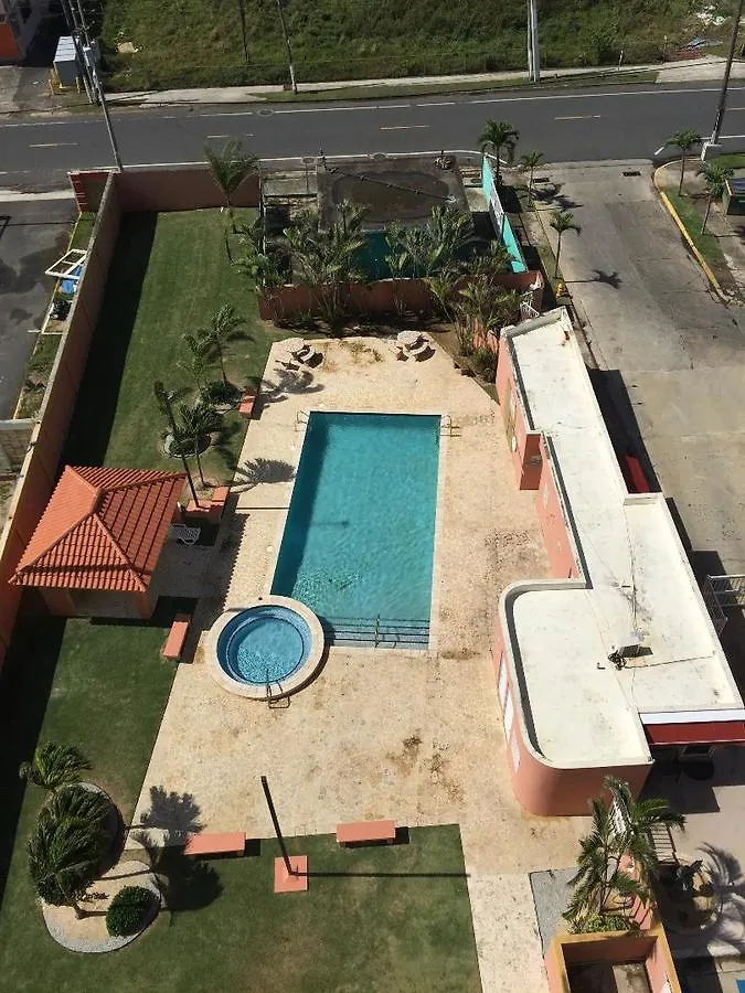 Dolphin Tower Apartment