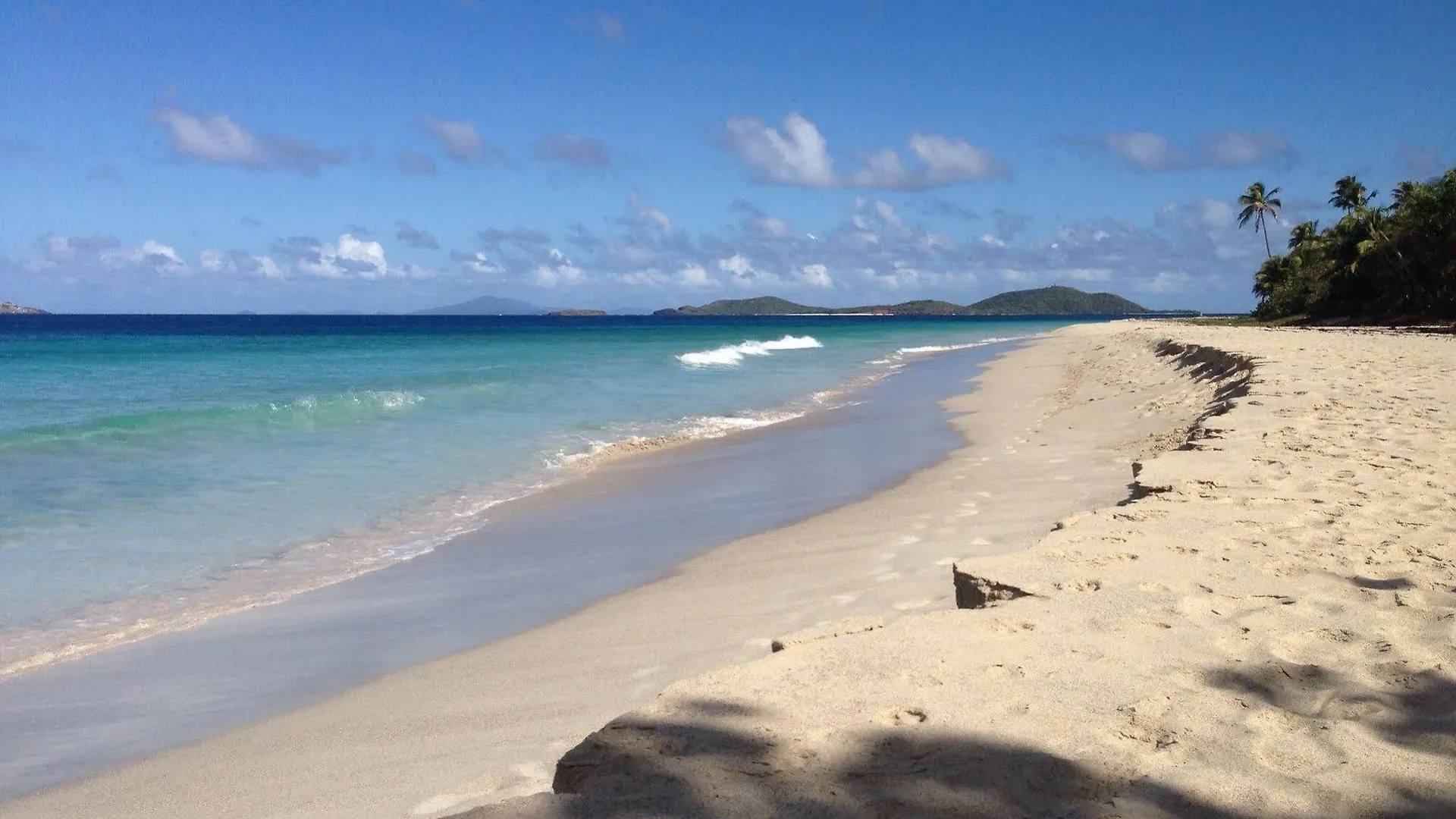 Dolphin Tower Apartment Luquillo
