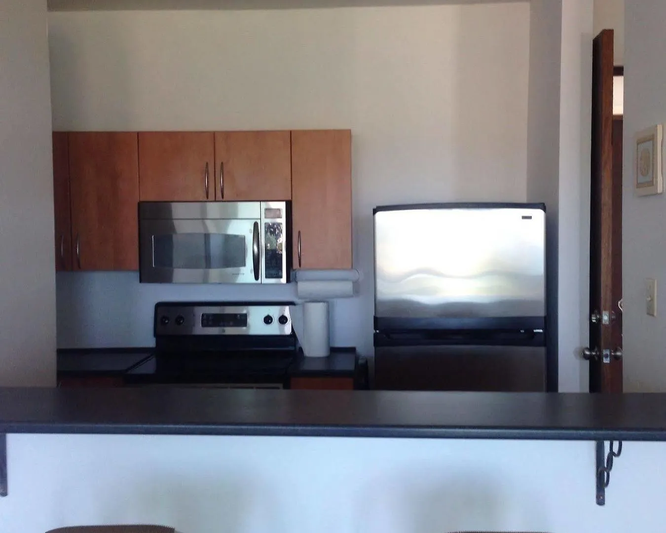 Dolphin Tower Apartment Puerto Rico