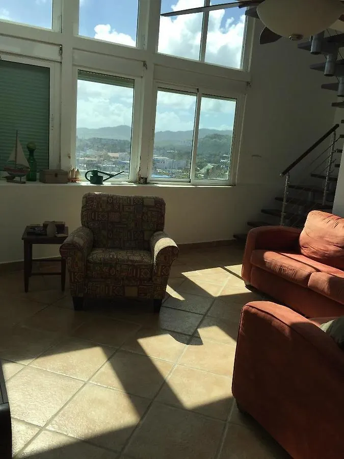 Dolphin Tower Apartment Puerto Rico